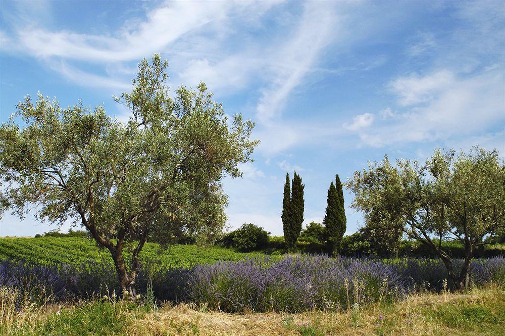 Hotel Les Jardins De Sainte-Maxime Ngoại thất bức ảnh