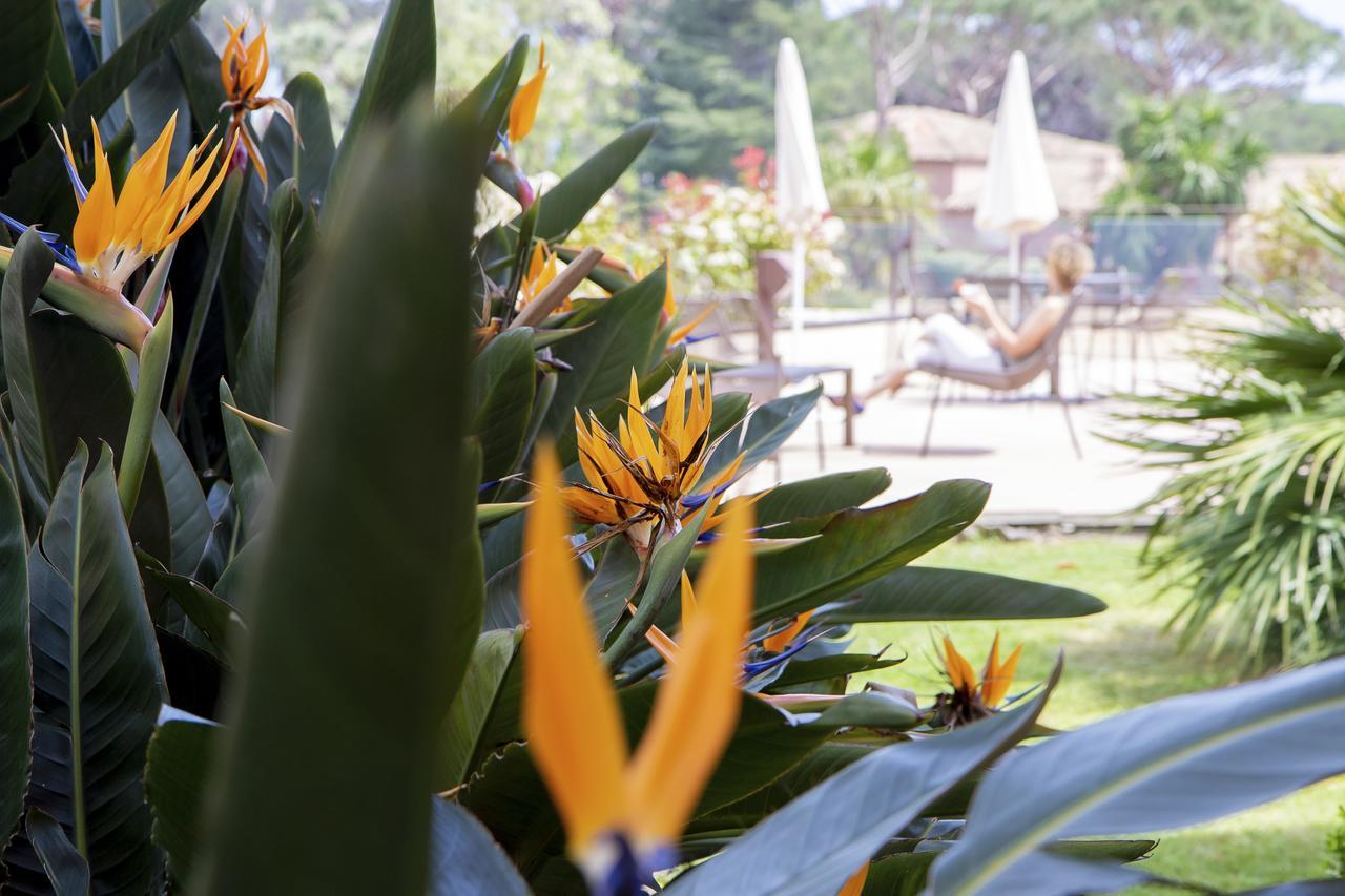 Hotel Les Jardins De Sainte-Maxime Ngoại thất bức ảnh